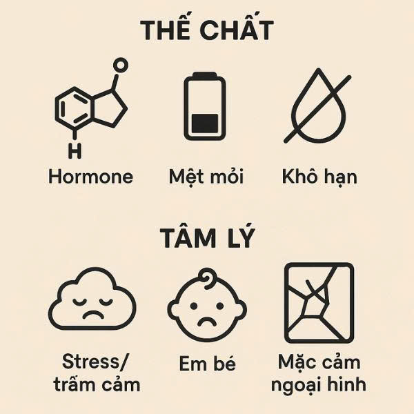 Infographic liệt kê các nguyên nhân thể chất và tâm lý gây giảm ham muốn ở phụ nữ sau sinh như thay đổi hormone, mệt mỏi và stress.
